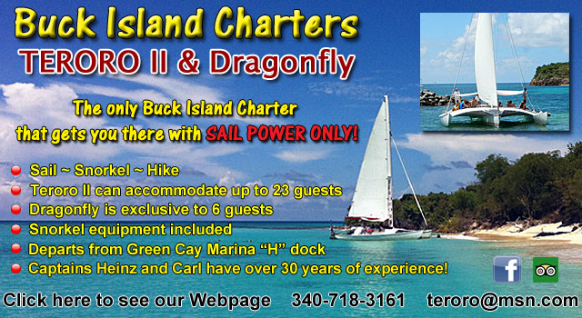 Buck Island Charters - Terro II & Dragonfly